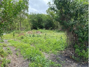 zi-zac à la vente -   97414  ENTRE DEUX, surface 1000 m2 vente zi-zac - UBI459169604